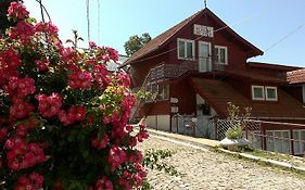 Vila Floare de Colt Sinaia